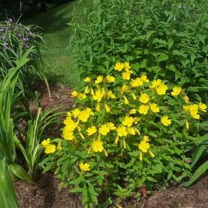 Meet your Posher, Sue